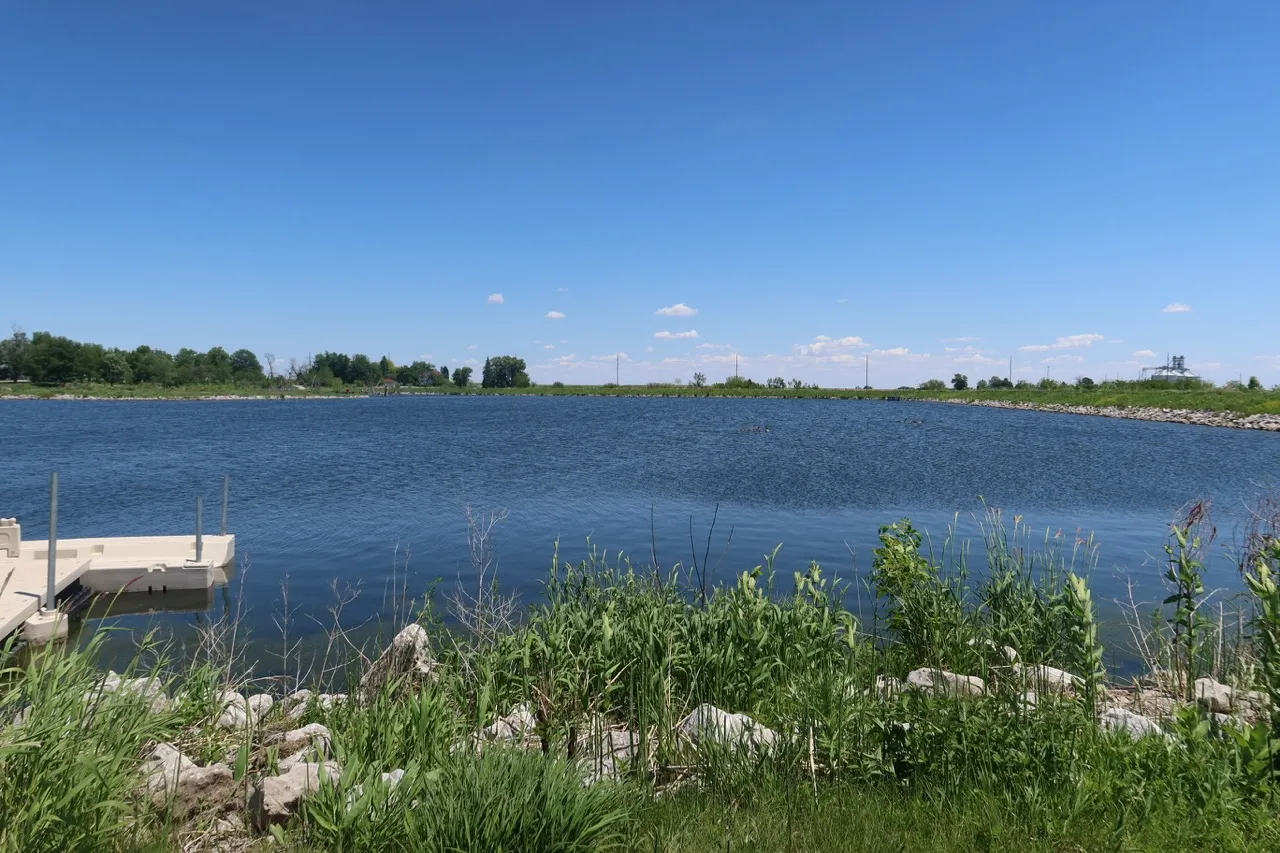 Dakins Lake on a clear summer day, with a small dock at the left and trees along the far shore